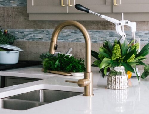 New design guide for the Sunshine Coast